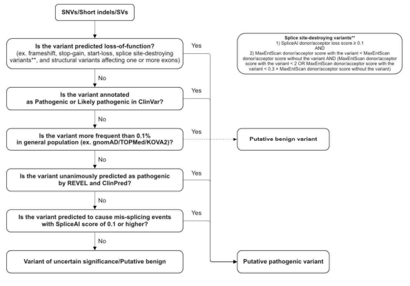 Scheme of pathogenicity determination criteria for variant analysis