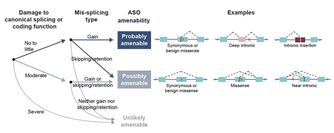 Taxonomy of ASO-amenability