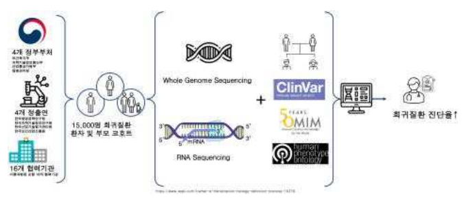 WGS data-based multi-omics analysis approach for rare disease diagnosis