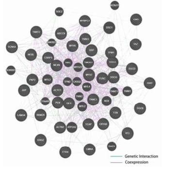 DCM associated Gene-Gene Interaction Network (Chen et al., 2021)