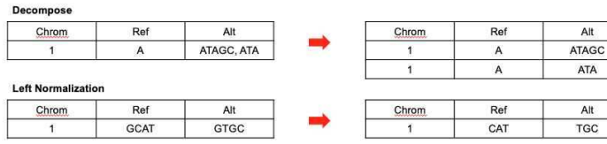 The process of decomposing and example of left-normalization