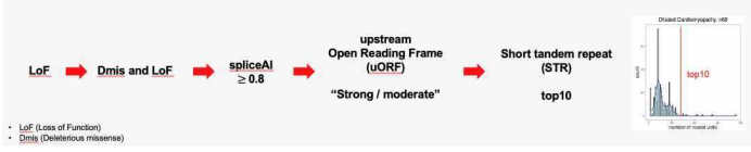 A Step-by-step plan of the gene burden test for identification of the disease-causing genes