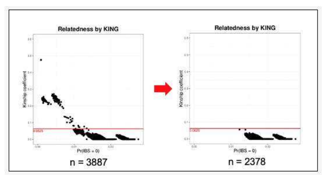 The results of kinship analysis using KING