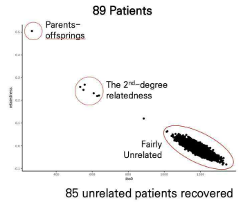 The results of kinship analysis through pairwise comparison