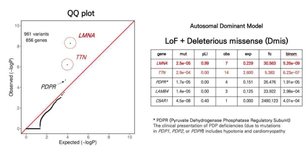 The results of gene burden test with rare LoF and Dmis mutations