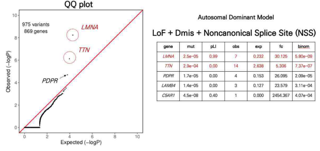 The results of gene burden test with LoF + Dmis mutations and splice site mutations of non-coding region