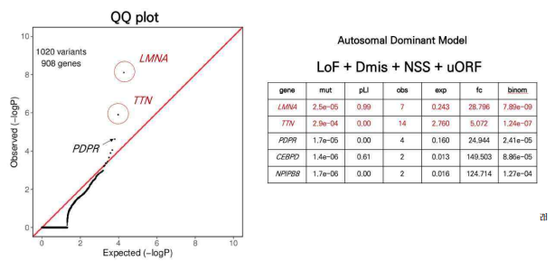 The results of gene burden test with LoF + Dmis + splice site of non-coding regions mutations and uORF mutations