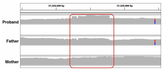 The dnDUP:tandem predicted using MANTA (chr1:37,189,823-37,189,875)