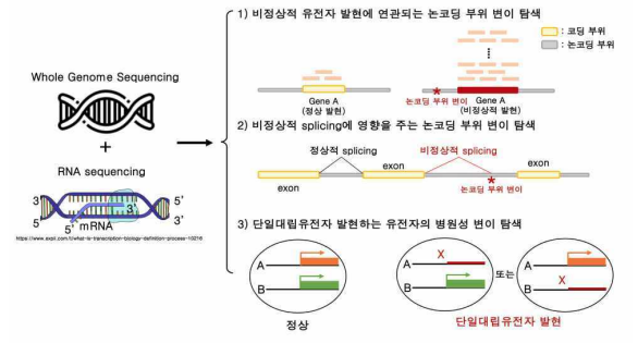 Pipeline of RNA-seq and WGS integrated analysis