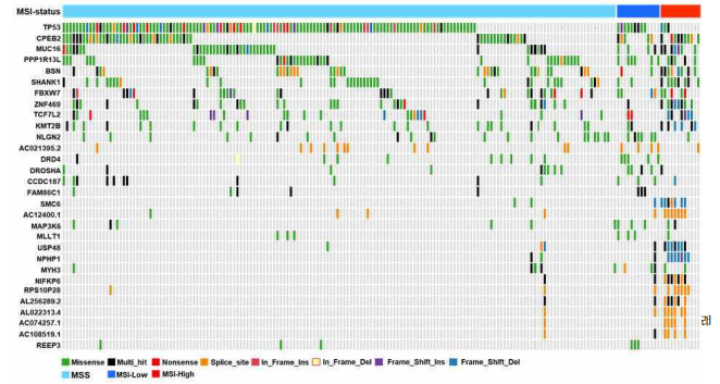 An oncoplot associated with MSI status showing the heatmap of variant classification for the top 30 genes across 197 Korean CRC samples. The X-axis shows different samples and the Y-axis shows the top 30 genes