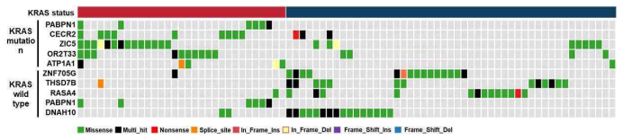 An oncoplot associated with the KRAS status showing the heatmap of variant classification for the top 30 genes across 197 Korean CRC samples. The X-axis shows different samples and the Y-axis shows the top 30 genes