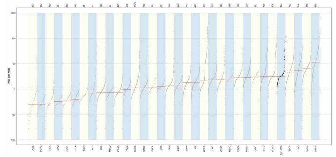 Comparison of mutational burden with TCGA datasets. The Y-axis shows the number of mutations per mega base pair of the genomic sequence. The mutational burden of the Kor_CRC dataset from this study is the fifth largest