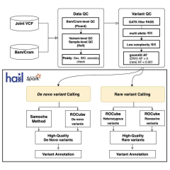 품질 정보 생산 및 유전변이 발굴 전략. 유전변이는 heterozygous과 homozygous variant로 구분하고, rare homozygous variant는 부모에게 heterozygous variant이지만, 자녀에게는 alternative homozygous variant로 존재하는 변이로 정의함. De novo variant는 부모에게는 reference homozygous allele이지만, 자녀에게 heterozygous variant로 나타나는 변이로 정의함