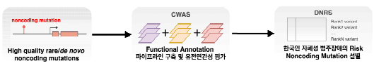 한국인 자폐성 범주장애 코호트의 risk noncoding mutation의 유전연관성 연구개요