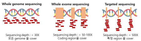 WGS 와 WES, targeted sequencing 의 차이