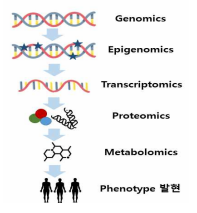 멀티오믹스 방법의 순서 및 개요