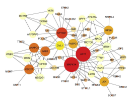 Weighted Gene Correlation Network Analysis 를 이용한 네트워크 기반 분석의 예