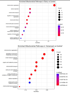 Gene Ontology Analysis on Mitochondria-associated Pathways