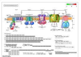 Oxidative Phosphorylation 전사체 레벨 (Early DN vs Control)