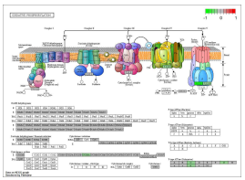 Oxidative Phosphorylation 전사체 레벨 (Advanced DN vs Control)