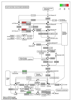 Glycolysis 전사체 레벨 발현양의 상대적인 변화 (Advanced DN vs Control)