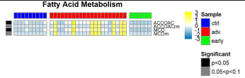 Fatty Acid Metabolism 대사체 레벨 Reaction 활성화 시뮬레이션