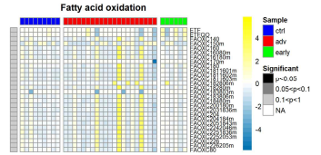 Fatty Acid Oxidation 대사체 레벨 Reaction 활성화 시뮬레이션 약어- adv: advanced diabetic nephropathy, early: early stage of diabetic nephropathy, ctrl: control sample