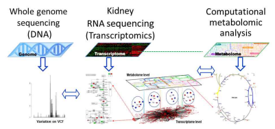 Multi-omics analysis approaches의 scheme