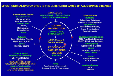 Mitochondrial Dysfunction for Diseases