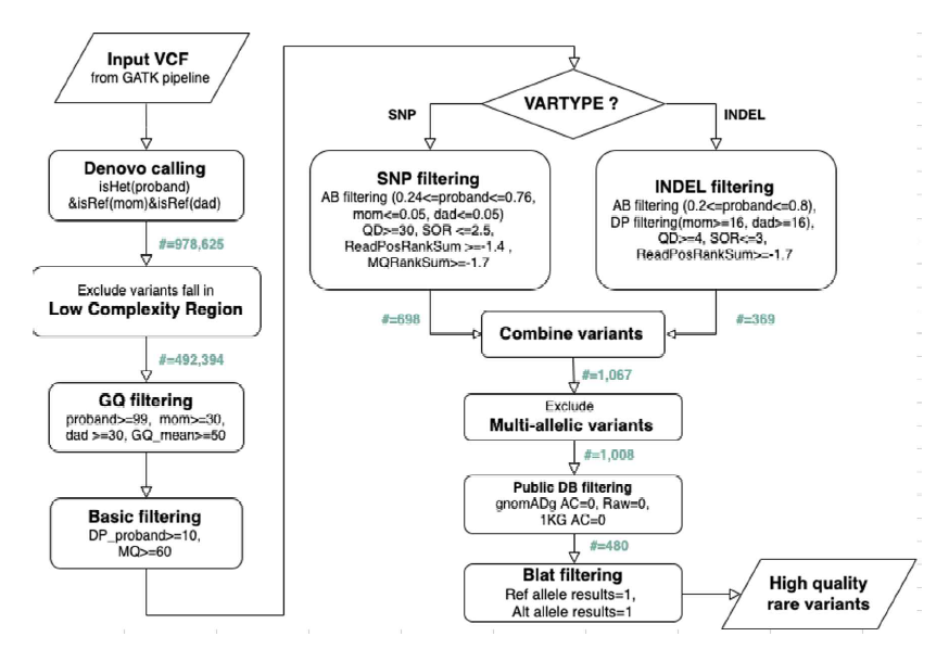 파이프라인에 의거하여 MECP2 돌연변이 음성인 Rett 증후군 환자 9명과 부모들의 WGS 분석 데이터에서 콜링된 변이들의 기본 분석 플로우차트