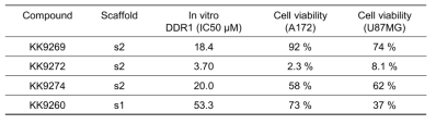 후보군 In vitro/세포 활성 평가