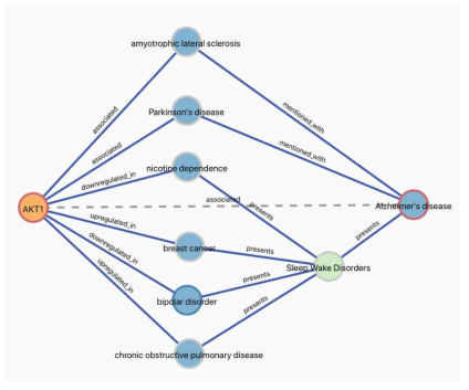 AKT1과 질병들과의 연결 분석을 통한 알츠하이머와의 연관성