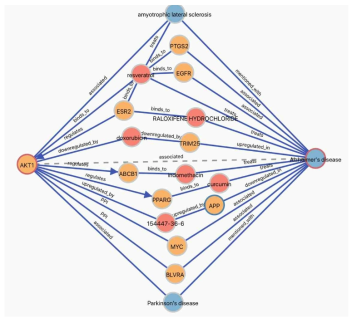 AKT1과 단백질 타겟들과의 연결성 분석을 통한 알츠하이머와의 연관성