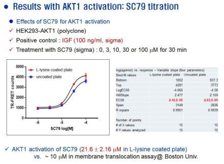 Akt1 활성 측정을 위한 cell-based assay 구축