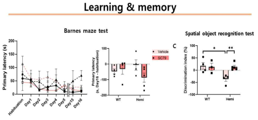 알츠하이머 마우스 모델에서의 SC-79 투여에 의한 learning and memory 감소 증상 변화