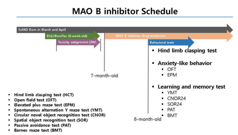 알츠하이머 마우스 모델에서의 MAO-B inhibitor의 유효성 평가 실험 과정