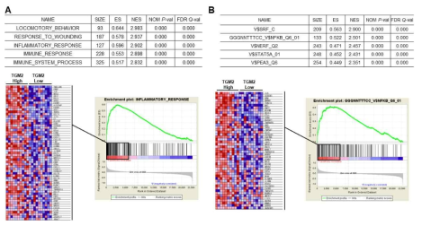 Gene set enrichment analysis