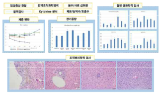 설치류 독성시험에서 확보할 수 있는 다양한 in vivo 독성 파라미터