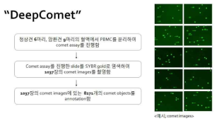 Comet assay data에 인공지능개발 및 적용을 위한 데이터생성 개요 및 학습에 사용된 data 및 Comet assay 예시