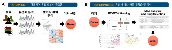 REMEDY 방법의 구성. A) NGS데이터를 분석해서 유전체 마커를 선별하는 AROMICS 시스템. B) 유전체 마커 기반 약물 재창출 및 탐색을 하는 REPURPOSING 시스템