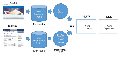 Gene Dependency 예측을 위한 데이터셋 생성 과정