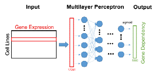 Gene Dependency 예측을 위해 적용된 딥러닝 모델