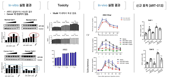 REMEDY를 이용하여 발굴된 새로운 당뇨병 치료 후보 물질의 실험 검증 결과. A) in-vitro 실험 결과. B) 독성 검증 결과. C) in-vivo 실험 결과. D) 신규 표적(ART-013)에 대한 in-vitro 검증 결과