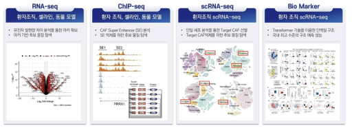 CAF 후보 물질 도출을 위한 유전체 데이터 및 환자 선별 Biomarker 개발