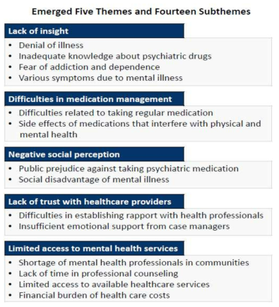 지역사회 정신장애인이 경험하는 약물이행 관련 장애요인에 관한 추출된 주제와 하위주제