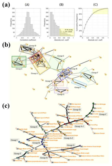 네트워크 분석을 이용한 측모두부방사선 계측 변수 사이의 상관성 구조 분석. (a) 변수 간 상관계수의 통계적 분포 분석. (b) 네트워크 분석을 이용한 변수 그룹 클러스터 도출. (c) 최소신장트리(Minimum spanning tree, MST)를 이용한 변수 그룹 도출