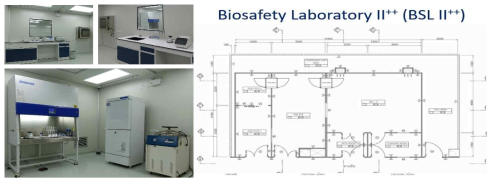 Bio-safety Level 2+ 실험실 및 도면