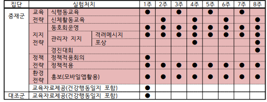 다수준 건강증진프로그램의 프로그램 실행