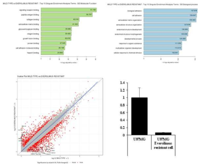 Everolimus Resistant cell line RNA sequencing 결과