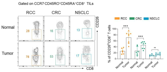 FACS를 이용한 환자 암 침윤 CD8+ T 세포에서 CD226 발현 분석. RCC: Renal cell carcinoma. CRC: Colorectal cancer. NSCLC: Non-small-cell lung carcinoma